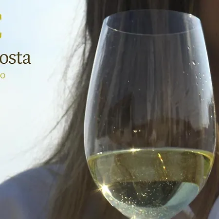 Enoturismo Lagar De Costa Lantställe *